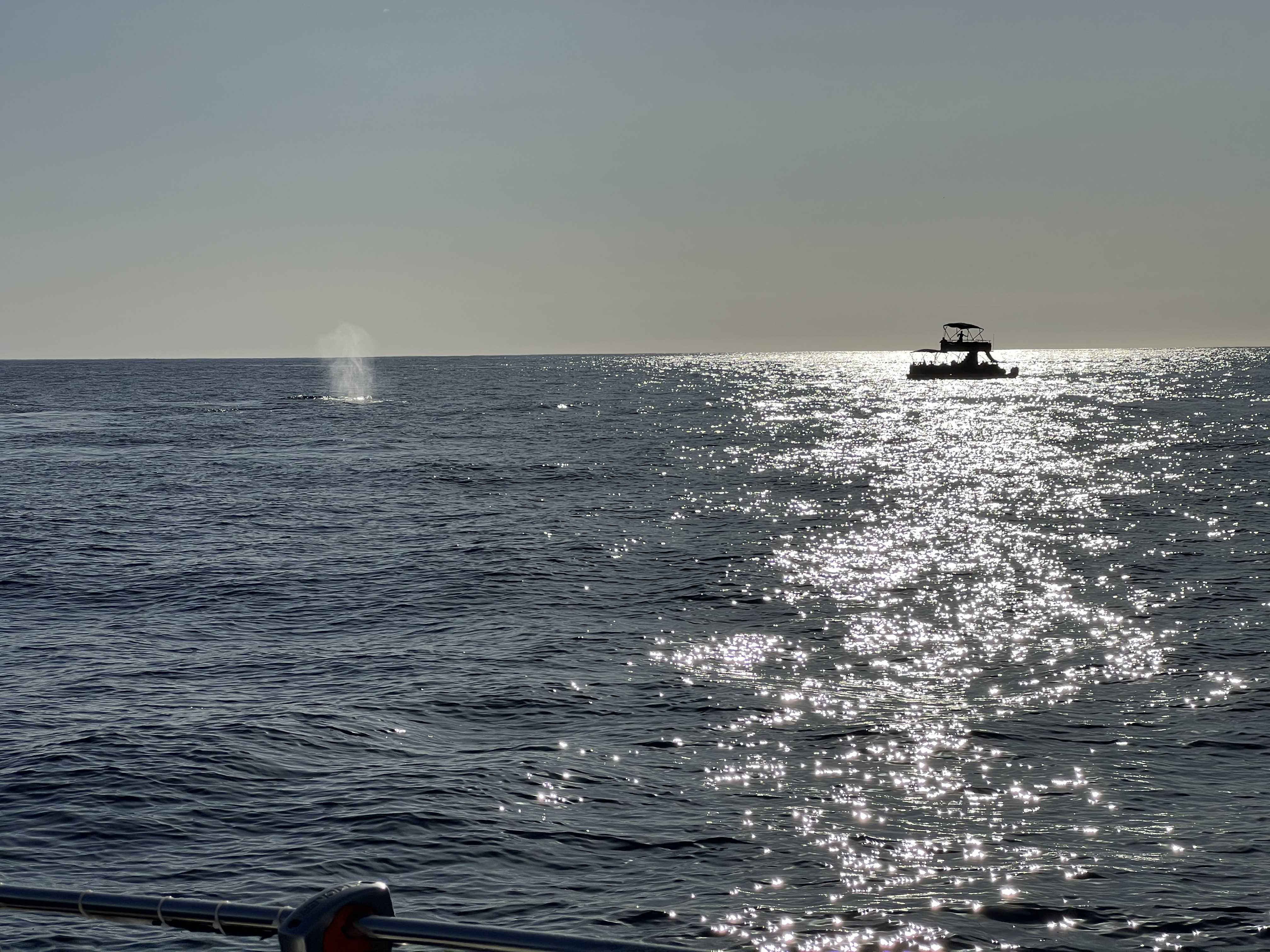 ./2024/13 - Cabo/IMG_4689.jpg